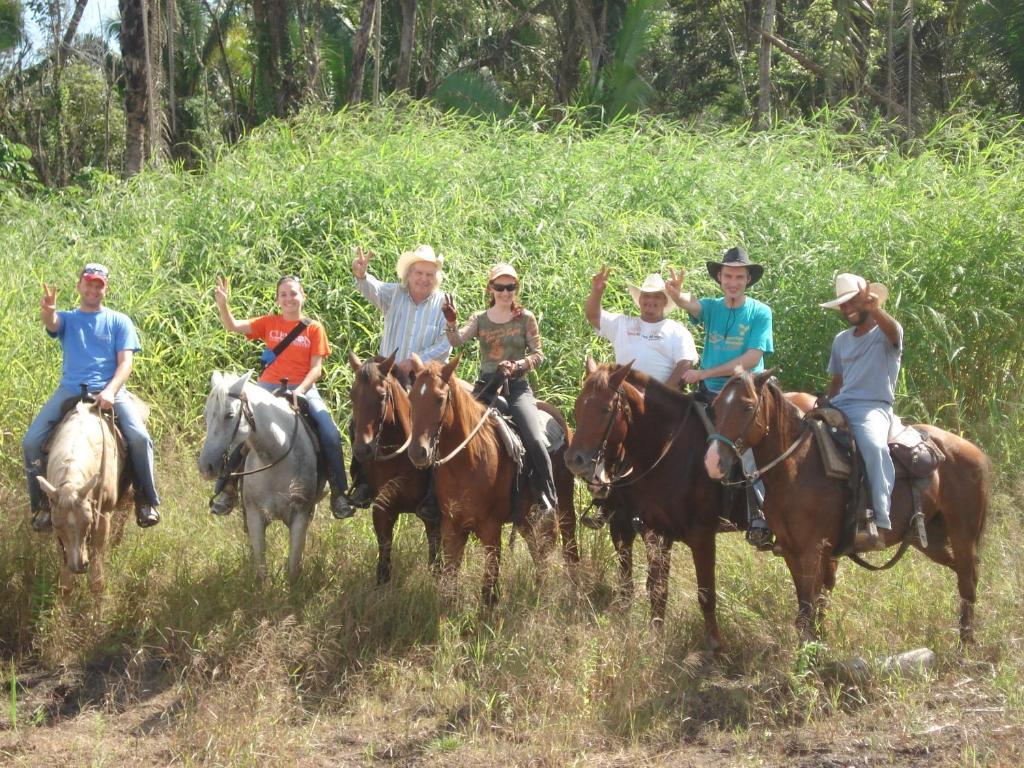 Banana Bank Lodge & Jungle Horseback Adventures 벨모판 외부 사진