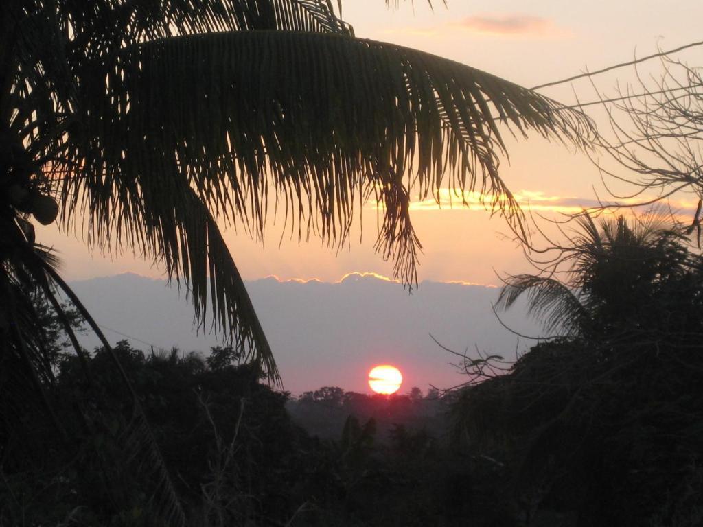 Banana Bank Lodge & Jungle Horseback Adventures 벨모판 외부 사진