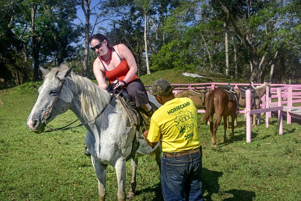 Banana Bank Lodge & Jungle Horseback Adventures 벨모판 외부 사진